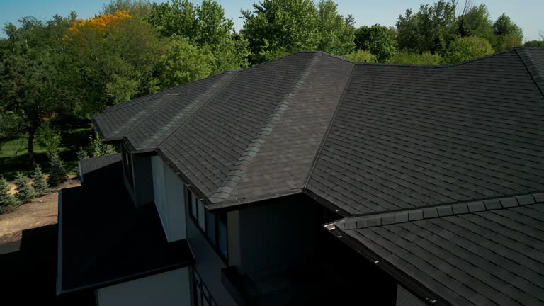 Best Emergency Roof Repair Services  in Las Palmas Ii, TX