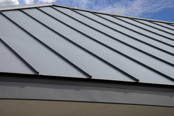 Best Roof Insulation Installation  in Las Palmas Ii, TX